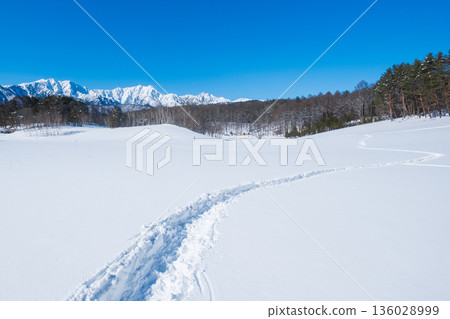 中山高原雪地健行（北阿爾卑斯山景色） 136028999