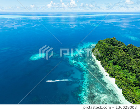 帛琉烏龍島熱帶島嶼的鳥瞰圖 帛琉烏龍島熱帶島嶼的鳥瞰圖 136029008