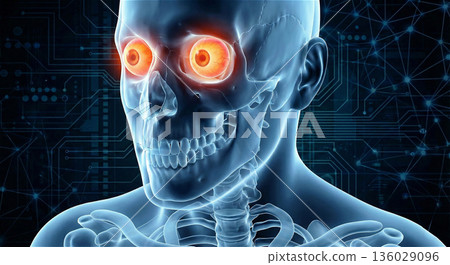 Eye disease and vision image illustration Eyeball Retina Tired eyes Skeletal X-ray 3DCG 136029096