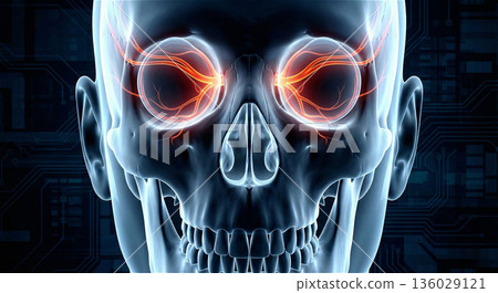 眼部疾病和視力影像插圖 眼球 視網膜 眼睛疲勞 骨骼 X光片 3DCG 136029121