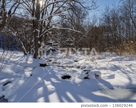 Snow scenery sparkling in the morning sun Snow scenery sparkling in the morning sun 136029246