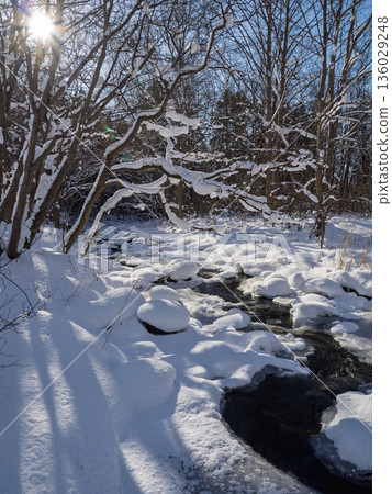 Snow scenery sparkling in the morning sun Snow scenery sparkling in the morning sun 136029248
