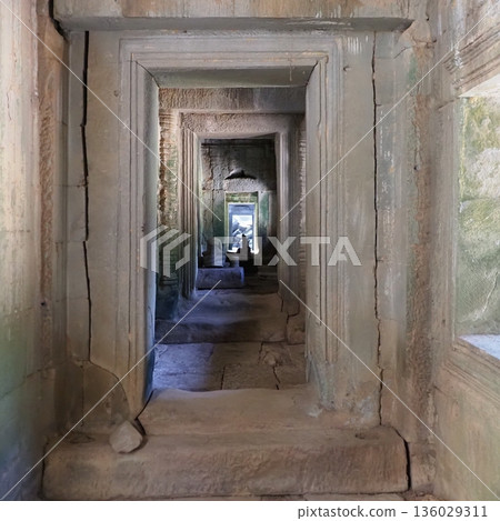 Cambodia Ta Prohm ruins corridor 136029311