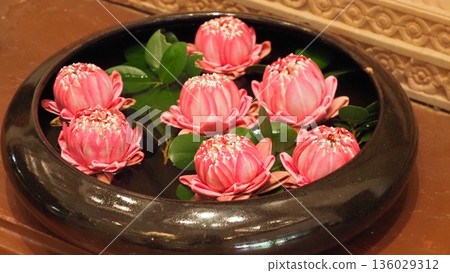 Cambodian lotus flower Cambodian lotus flower 136029312
