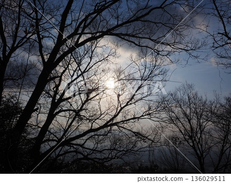 Fantastic morning landscape 136029511