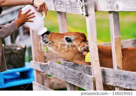 Farms Chiyoda - Scenery from the Fureai Ranch Farms Chiyoda - Scenery from the Fureai Ranch 136029561