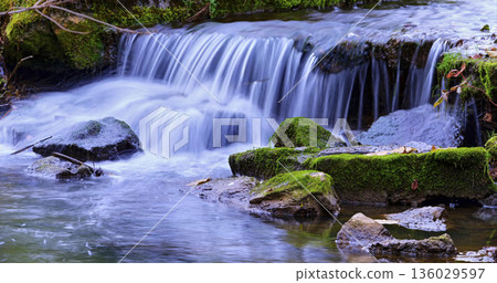 Water flows over rocks in a small stream surrounded by green moss and plants in nature during daytime 136029597