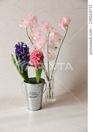 Pink and purple hyacinths 136029711