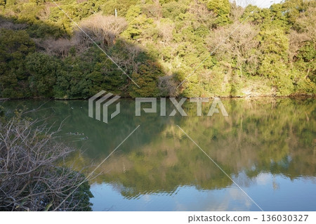 山脈和池塘 山脈和池塘 136030327