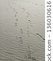 Footprints left on the beach 136030616