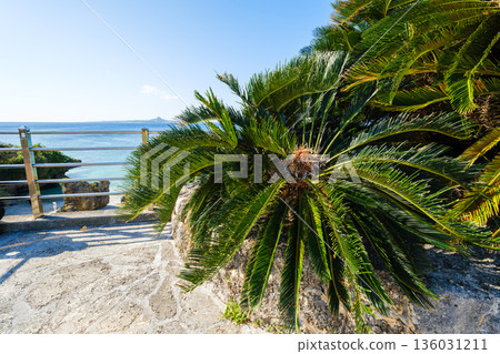 展現沖繩熱帶地區豐富自然風光與文化的景色 136031211