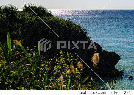 Scenery that evokes the rich nature and culture of the tropics found in Okinawa 136031235