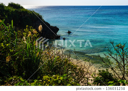 展現沖繩熱帶地區豐富自然風光與文化的景色 展現沖繩熱帶地區豐富自然風光與文化的景色 136031238