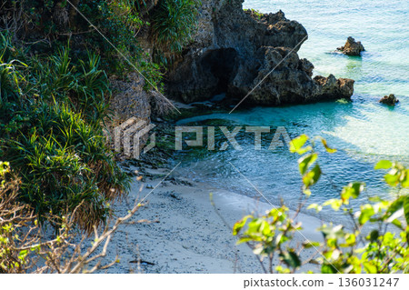 展現沖繩熱帶地區豐富自然風光與文化的景色 136031247