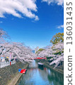 Cherry blossoming river 136031435