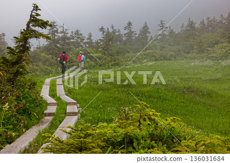 會津駒嶽山脊的霧氣繚繞的沼澤地 136031684