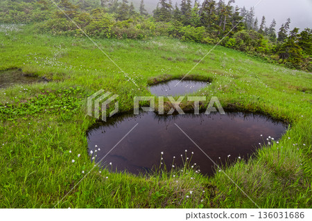 The misty marshlands of the Aizu-Komagatake ridge 136031686