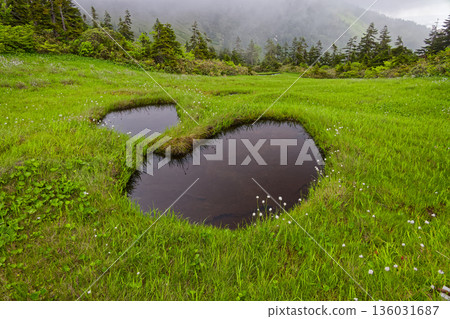 The misty marshlands of the Aizu-Komagatake ridge 136031687
