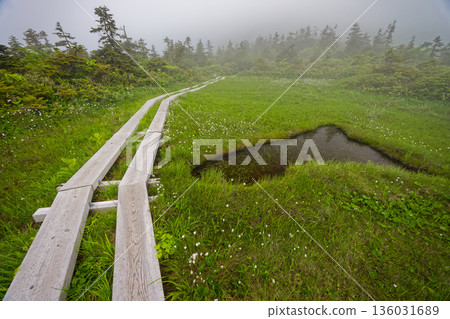 The misty marshlands of the Aizu-Komagatake ridge The misty marshlands of the Aizu-Komagatake ridge 136031689