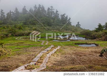 The misty marshlands of the Aizu-Komagatake ridge 136031882