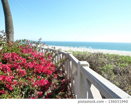 洛杉磯的天際線 洛杉磯的天際線 136031940