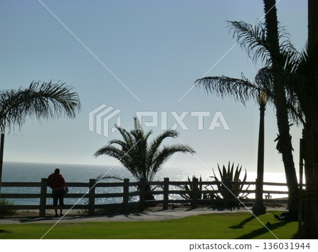 洛杉磯的天際線 136031944