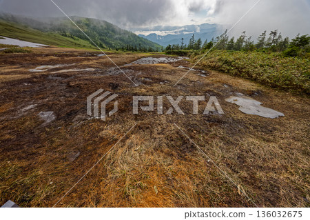The misty marshlands of the Aizu-Komagatake ridge 136032675