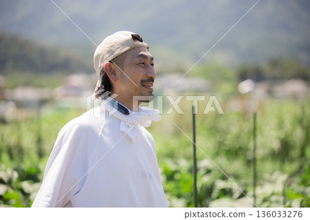 A man lovingly harvesting vegetables in the field 136033276