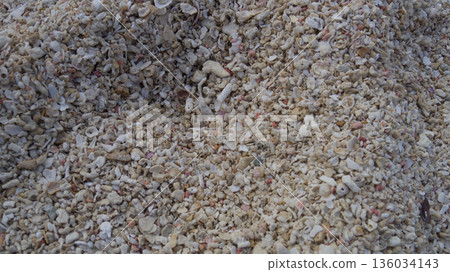 Coral sand and shells at Ginowan Tropical Beach, Okinawa Coral sand and shells at Ginowan Tropical Beach, Okinawa 136034143