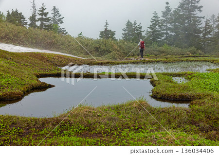 霧氣瀰漫的沼澤和會津駒嶽山脊上的登山者 136034406