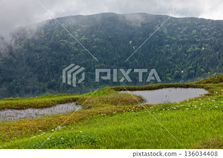 The misty marshlands of the Aizu-Komagatake ridge The misty marshlands of the Aizu-Komagatake ridge 136034408