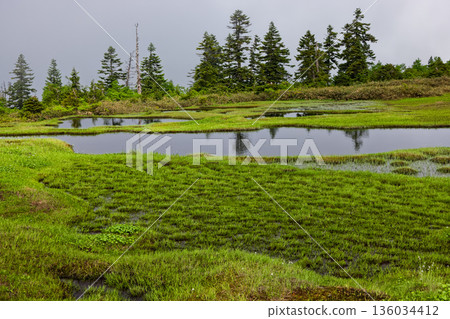The misty marshlands of the Aizu-Komagatake ridge The misty marshlands of the Aizu-Komagatake ridge 136034412