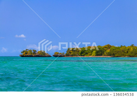 Mangroves in the lagoon of Kwale island. This is a small islet in the south of Zanzibar, Tanzania Mangroves in the lagoon of Kwale island. This is a small islet in the south of Zanzibar, Tanzania 136034538