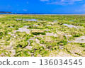 View of the Indian ocean at low tide, Zanzibar, Tanzania 136034545