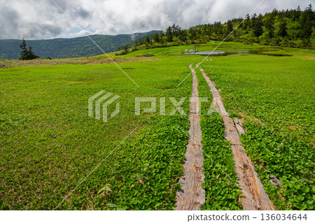Aizu Komagatake Ridge Line / Nakamon Pond Scenery in Summer Aizu Komagatake Ridge Line / Nakamon Pond Scenery in Summer 136034644
