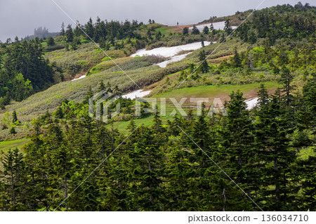 從中門岳附近可以看到會津駒岳白雪皚皚的山脊線。 136034710