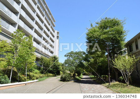 Residential area of Kohoku New Town, Tsuzuki Ward, Yokohama City 136034748