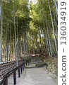 Pass through the bamboo grove 136034919
