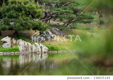Quiet pond view Quiet pond view 136035185