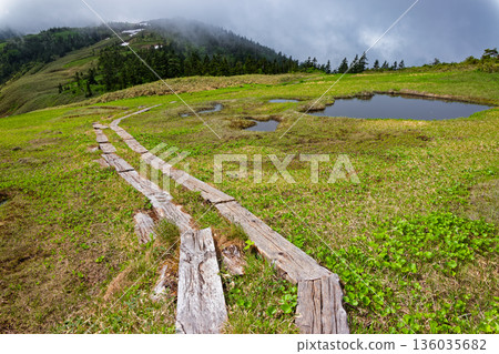 會津駒嶽山脊和中門山附近的夏季沼澤地 136035682