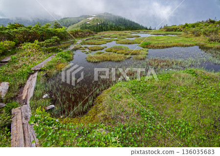 Summer marshland near the Aizu-Komagatake ridge and Mt. Nakamon Summer marshland near the Aizu-Komagatake ridge and Mt. Nakamon 136035683