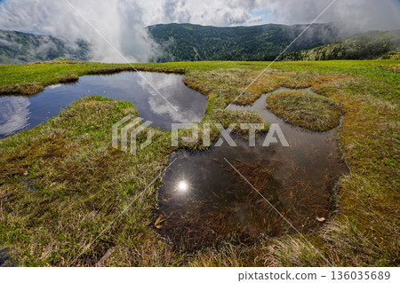Summer marshland near the Aizu-Komagatake ridge and Mt. Nakamon 136035689