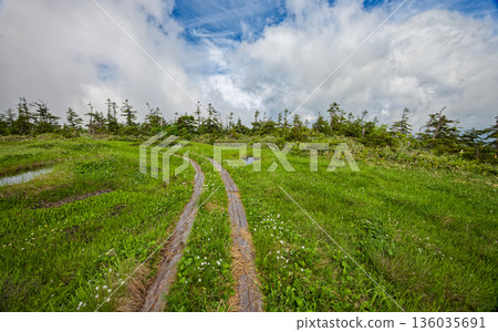 會津駒嶽山脊和中門山附近的夏季沼澤地 會津駒嶽山脊和中門山附近的夏季沼澤地 136035691