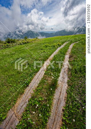 會津駒嶽山脊和中門山附近的夏季沼澤地 會津駒嶽山脊和中門山附近的夏季沼澤地 136035692