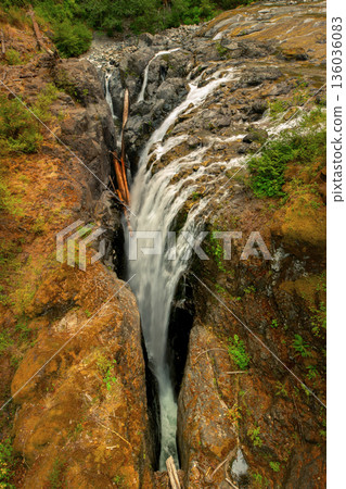 Streams of the rocky waterfall in the river canyon in the forest. 136036083