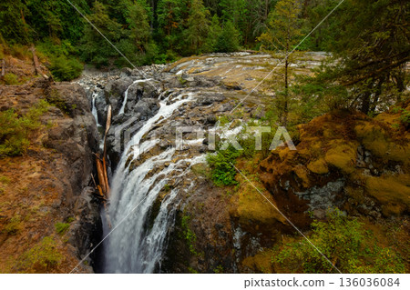Streams of the rocky waterfall in the river canyon in the forest. 136036084