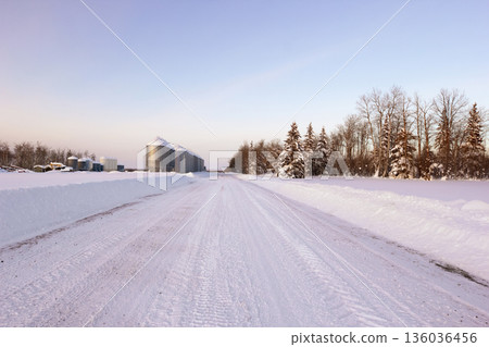 Plowed country road at the farm with granaries in winter. 136036456