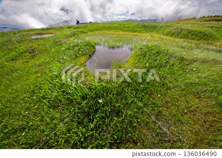 會津駒嶽山脊和中門山附近的夏季沼澤地 136036490
