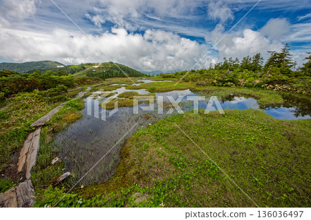 會津駒嶽山脊和中門山附近的夏季沼澤地 會津駒嶽山脊和中門山附近的夏季沼澤地 136036497