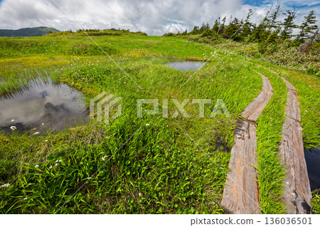 Summer marshland near the Aizu-Komagatake ridge and Mt. Nakamon Summer marshland near the Aizu-Komagatake ridge and Mt. Nakamon 136036501